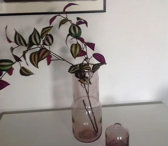 Klitgaards Apartment *